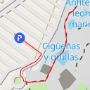 thumbnail for Anfiteatro leones marinos