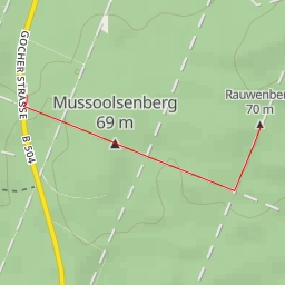 thumbnail for Rauwenberg