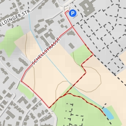 thumbnail for Naturdenkmal 6 - Fagus sylvatica (Buche) - Valentinstraße - Gelsenkirchen