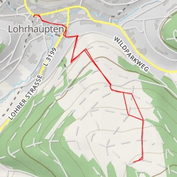 thumbnail for Alte Niederwaldbuchen - Lohrhaupten