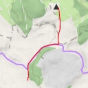 thumbnail for Gänsewag