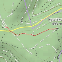 thumbnail for Peterskopf