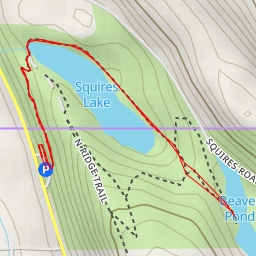 thumbnail for Beaver Pond