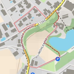 thumbnail for Raimundstraße