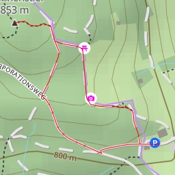 thumbnail for Pfannenstiel