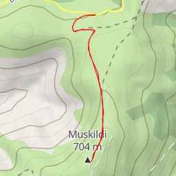 thumbnail for Muskildi
