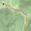 thumbnail for заросшая