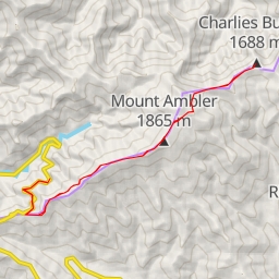 thumbnail for Charlies Bunion