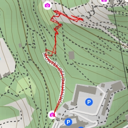 thumbnail for Montée des Dauphins - Grenoble