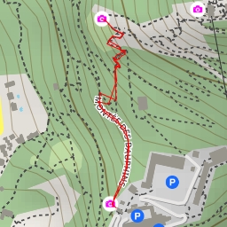 thumbnail for Montée des Dauphins - Grenoble