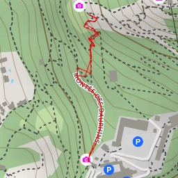 thumbnail for Montée des Dauphins - Grenoble