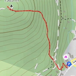 thumbnail for Camino Puricelli