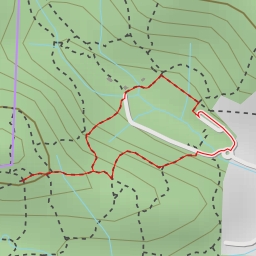 thumbnail for Viewpoint