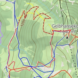 thumbnail for Gelbhansekopf