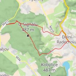 thumbnail for Picolominy