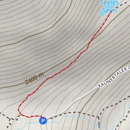 thumbnail for Seeles Seen