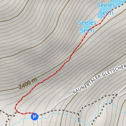 thumbnail for Seeles Seen