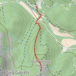 thumbnail for Pedra d'Àliga
