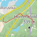 thumbnail for Hommelvikheia