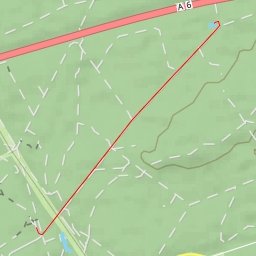 thumbnail for A 6 - Feuchter Forst