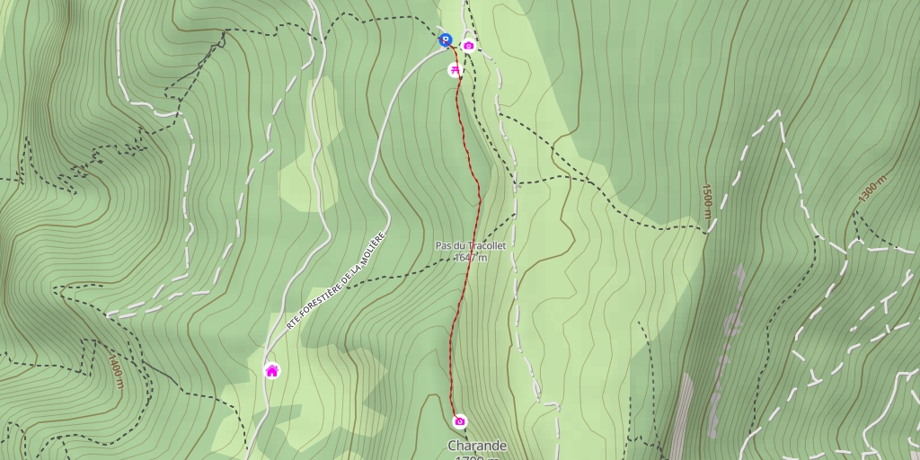 Hiking : Route forestière de la Molière - Autrans-Méaudre en Vercors ...