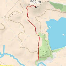 thumbnail for Sotoaldapa