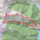 thumbnail for Madone