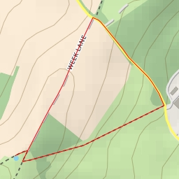 thumbnail for Week Lane