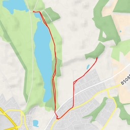 thumbnail for The Grove - The Grove