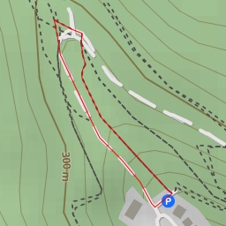 thumbnail for Verschönerungs Stein - Im Meisental