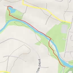 thumbnail for Bunya Pine Court - Bunya Pine Court