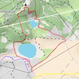 thumbnail for Lanser Kopf