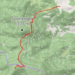 thumbnail for Schneebergrücken