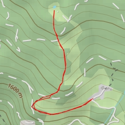 thumbnail for Lech de Lagustel