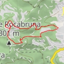 thumbnail for Puig Gallina