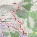 thumbnail for Brucheck