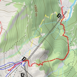 thumbnail for Gletscherflohsafari - Gletscherflohsafari