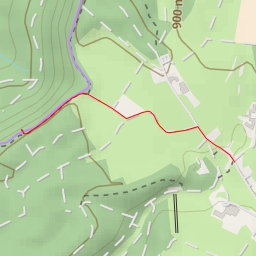 thumbnail for Zoller Blick