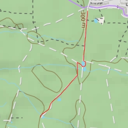 thumbnail for Boy-Scout-Stein - Grasweg - Buckenhofer Forst