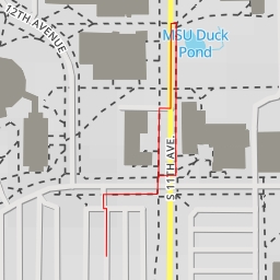 thumbnail for MSU Duck Pond