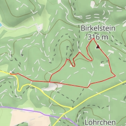 thumbnail for Birkelstein