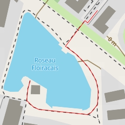 thumbnail for Roseau Floiracais