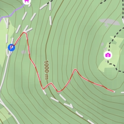 thumbnail for Fegefeuer-Hexentanz - Forststraße-Michllukn