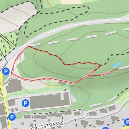 thumbnail for Beobachtungsplattform - Grütstrasse - Rapperswil-Jona