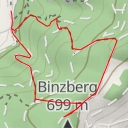 thumbnail for Binzberg