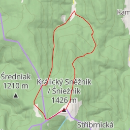 thumbnail for Králický Sněžník / Śnieżnik