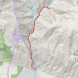 thumbnail for Черното пръскало