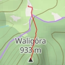 thumbnail for Waligóra