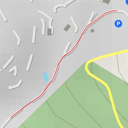 thumbnail for Panthères des Neiges