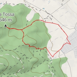thumbnail for La Tossa